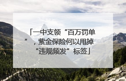 一中支领“百万罚单”，紫金保险何以甩掉“违规频发”标签
