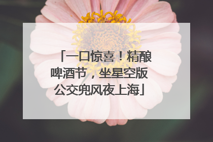 一口惊喜！精酿啤酒节，坐星空版公交兜风夜上海