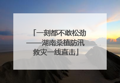 一刻都不敢松劲——湖南桑植防汛救灾一线直击