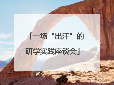一场“出汗”的研学实践座谈会