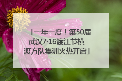 一年一度！第50届武汉7·16渡江节横渡方队集训火热开启