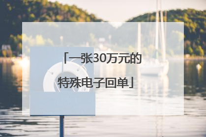 一张30万元的特殊电子回单