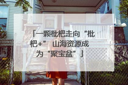 一颗枇杷走向“枇杷+” 山海资源成为“聚宝盆”