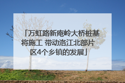 万虹路新庵岭大桥桩基将施工 带动洛江北部片区4个乡镇的发展