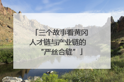 三个故事看黄冈人才链与产业链的“严丝合缝”