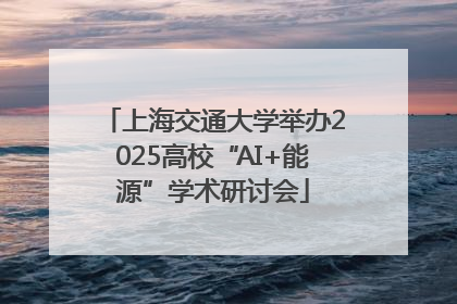 上海交通大学举办2025高校“AI+能源”学术研讨会