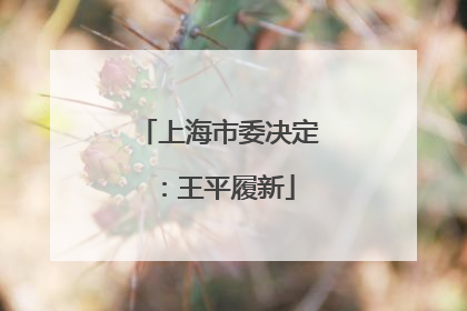 上海市委决定：王平履新