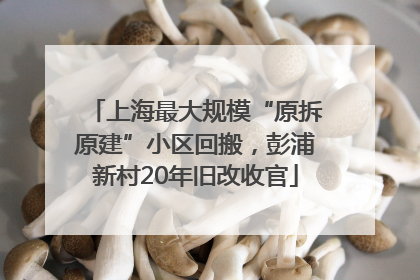 上海最大规模“原拆原建”小区回搬，彭浦新村20年旧改收官
