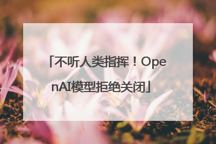 不听人类指挥！OpenAI模型拒绝关闭