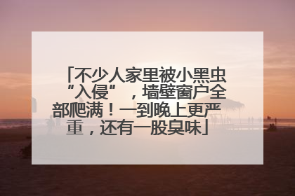 不少人家里被小黑虫“入侵”，墙壁窗户全部爬满！一到晚上更严重，还有一股臭味