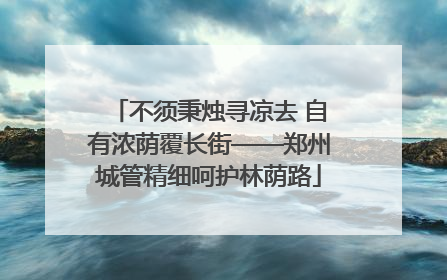 不须秉烛寻凉去 自有浓荫覆长街——郑州城管精细呵护林荫路