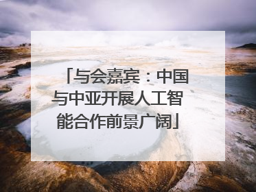 与会嘉宾：中国与中亚开展人工智能合作前景广阔