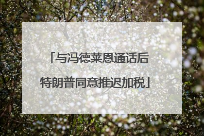 与冯德莱恩通话后 特朗普同意推迟加税