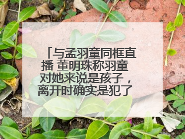 与孟羽童同框直播 董明珠称羽童对她来说是孩子，离开时确实是犯了很大的错