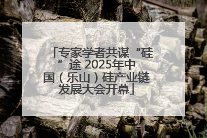 专家学者共谋“硅”途 2025年中国（乐山）硅产业链发展大会开幕