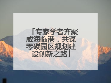专家学者齐聚威海临港，共谋零碳园区规划建设创新之路