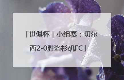 世俱杯｜小组赛：切尔西2-0胜洛杉矶FC