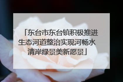 东台市东台镇积极推进生态河道整治实现河畅水清岸绿景美新愿景
