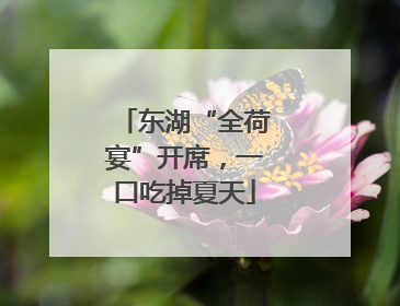 东湖“全荷宴”开席，一口吃掉夏天