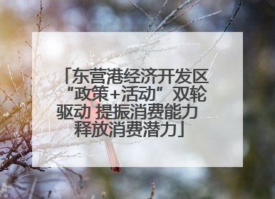 东营港经济开发区“政策+活动”双轮驱动 提振消费能力 释放消费潜力