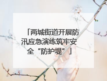 两城街道开展防汛应急演练筑牢安全“防护堤”