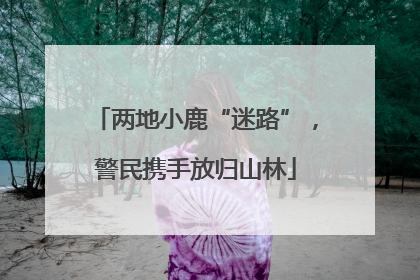 两地小鹿“迷路”，警民携手放归山林