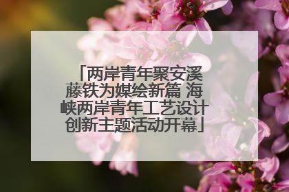 两岸青年聚安溪 藤铁为媒绘新篇 海峡两岸青年工艺设计创新主题活动开幕