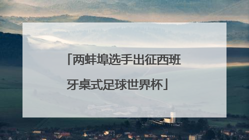 两蚌埠选手出征西班牙桌式足球世界杯