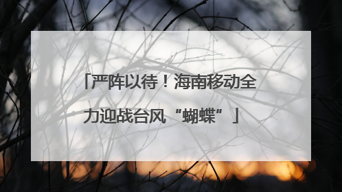 严阵以待！海南移动全力迎战台风“蝴蝶”