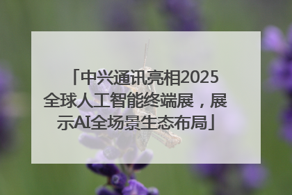 中兴通讯亮相2025全球人工智能终端展，展示AI全场景生态布局