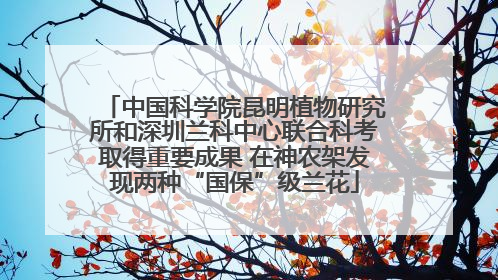 中国科学院昆明植物研究所和深圳兰科中心联合科考取得重要成果 在神农架发现两种“国保”级兰花