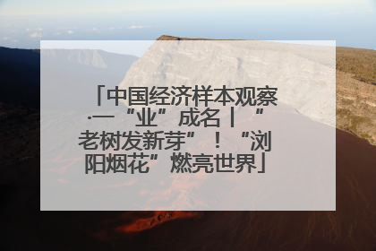 中国经济样本观察·一“业”成名丨“老树发新芽”！“浏阳烟花”燃亮世界