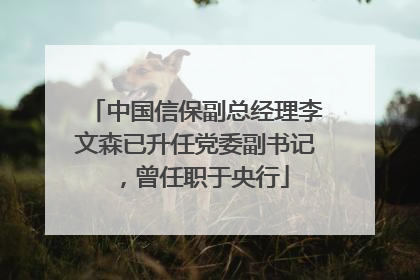 中国信保副总经理李文森已升任党委副书记，曾任职于央行
