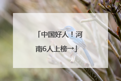 中国好人！河南6人上榜→