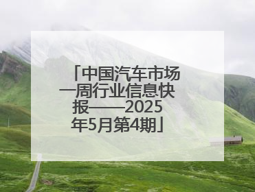 中国汽车市场一周行业信息快报——2025年5月第4期