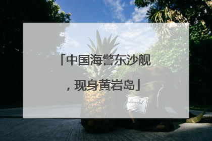 中国海警东沙舰，现身黄岩岛
