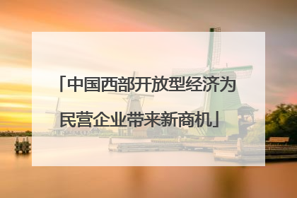 中国西部开放型经济为民营企业带来新商机