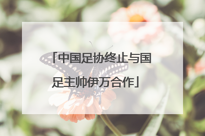 中国足协终止与国足主帅伊万合作