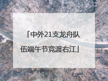 中外21支龙舟队伍端午节竞渡右江
