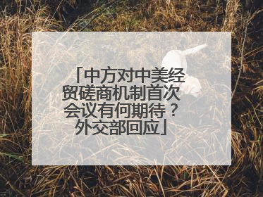 中方对中美经贸磋商机制首次会议有何期待？外交部回应