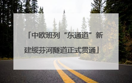 中欧班列“东通道”新建绥芬河隧道正式贯通