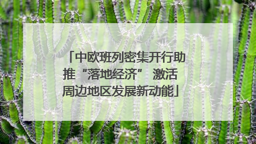 中欧班列密集开行助推“落地经济” 激活周边地区发展新动能