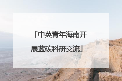 中英青年海南开展蓝碳科研交流