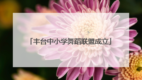 丰台中小学舞蹈联盟成立