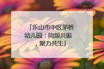 乐山市中区茅桥幼儿园：同频共振，聚力共生