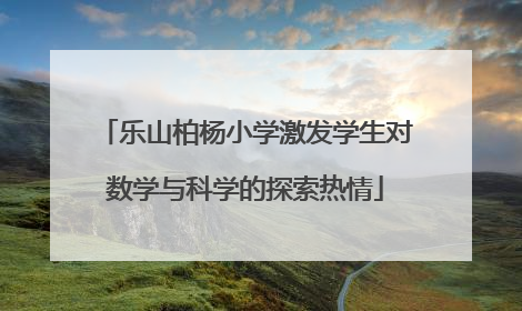 乐山柏杨小学激发学生对数学与科学的探索热情