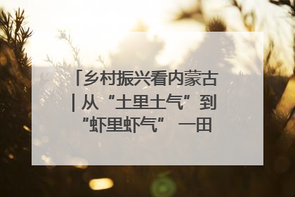 乡村振兴看内蒙古｜从“土里土气”到“虾里虾气” 一田双收模式火出圈