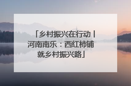 乡村振兴在行动丨河南南乐：西红柿铺就乡村振兴路