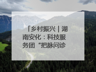 乡村振兴｜湖南安化：科技服务团“把脉问诊”水果产业