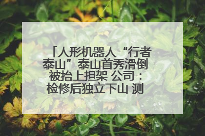 人形机器人“行者泰山”泰山首秀滑倒被抬上担架 公司：检修后独立下山 测试就是为暴露问题